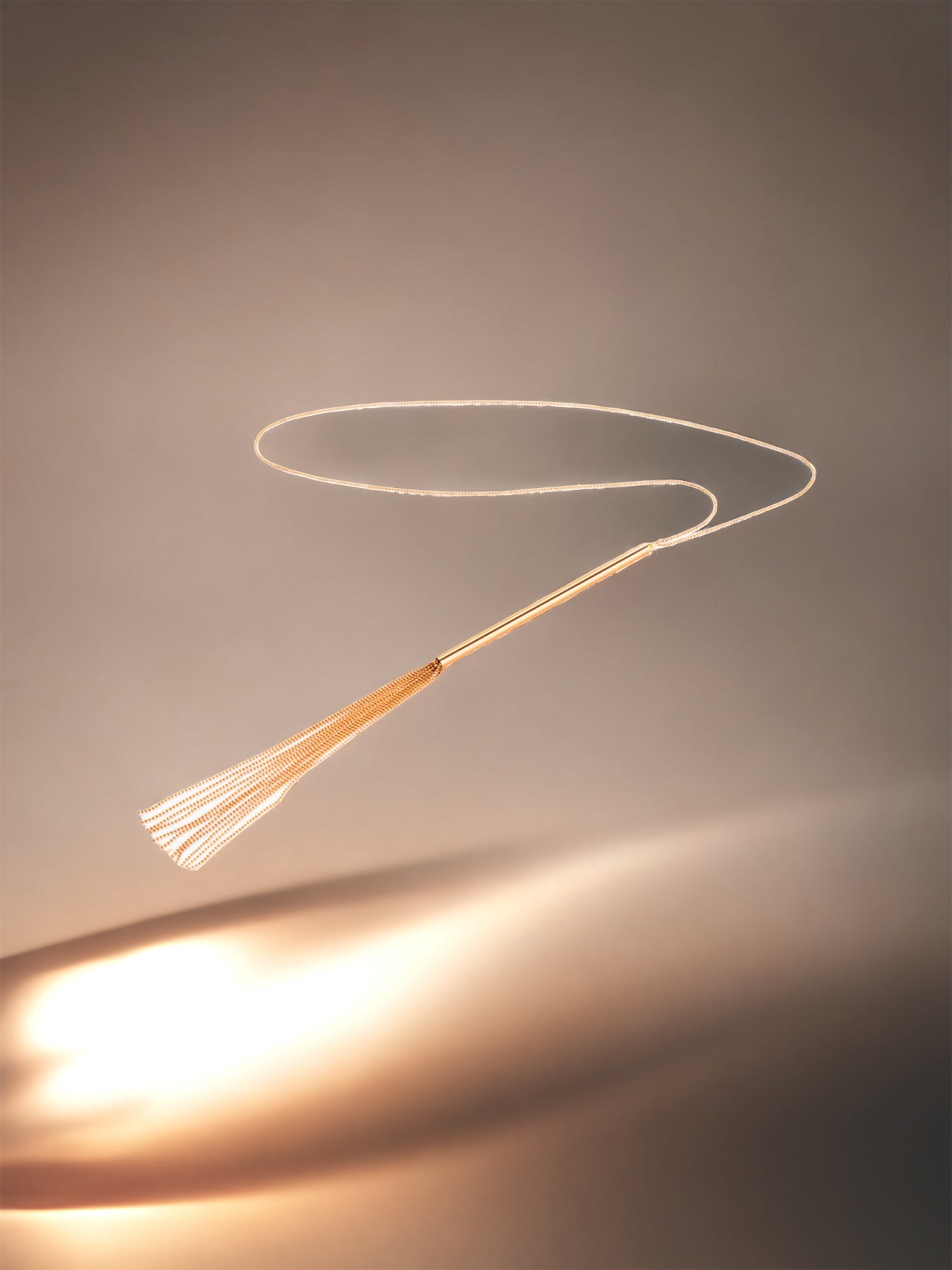 Chain Necklace Whip Gold